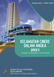 Cinere Subdistrict In Figures 2021