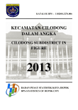 Kecamatan Cilodong Dalam Angka 2013