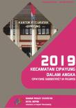 Cipayung Subdistrict In Figures 2019