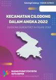 Kecamatan Cilodong Dalam Angka 2022